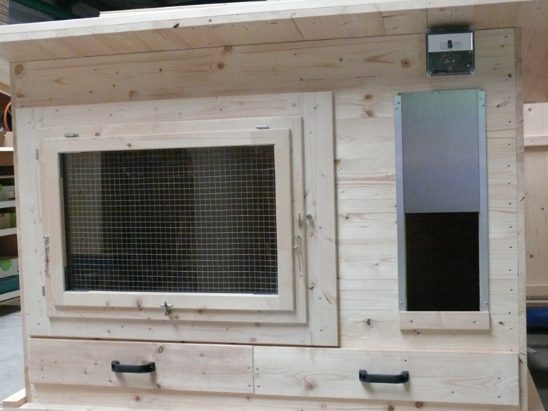 Automatische Hühnerklappe: Moderner Schutz vor dem Fuchs und mehr Freiheit für Sie